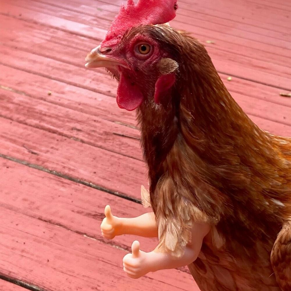 Funny Muscle Fake Arms Costume for Chickens