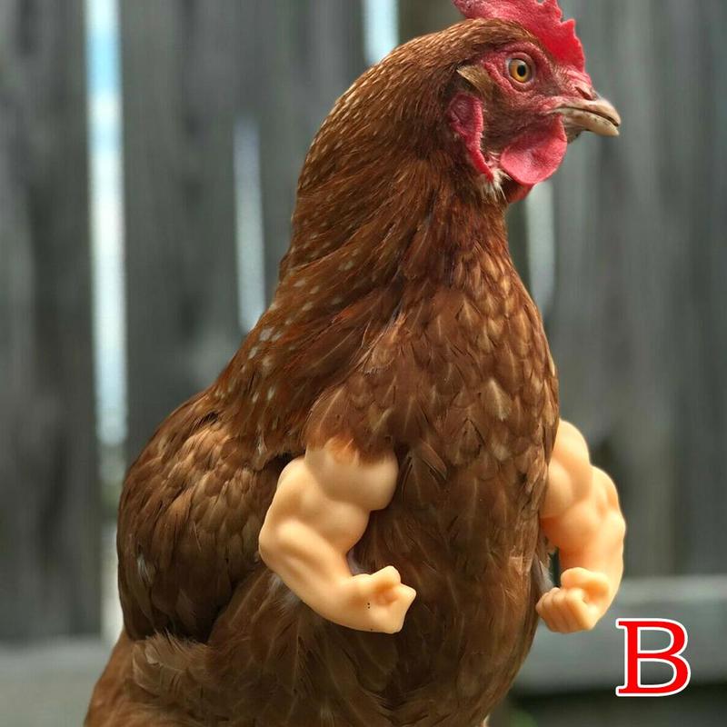 Funny Muscle Fake Arms Costume for Chickens