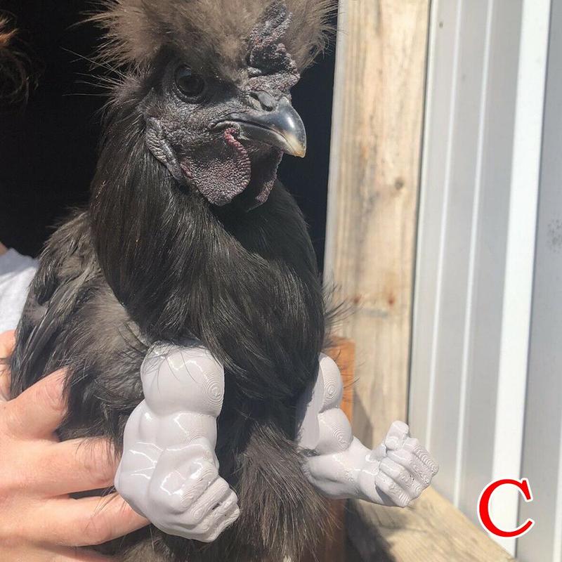 Funny Muscle Fake Arms Costume for Chickens