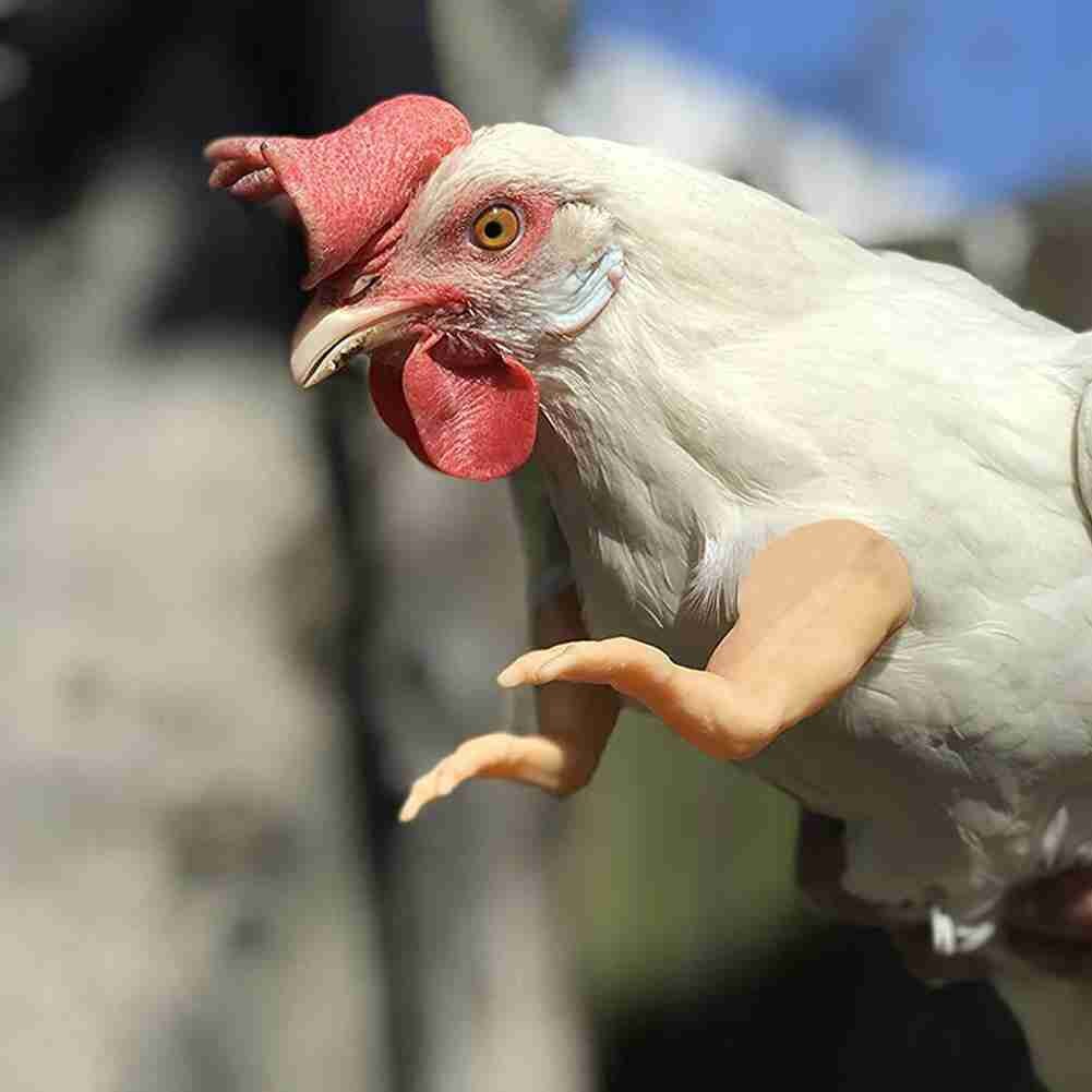 Funny Muscle Fake Arms Costume for Chickens