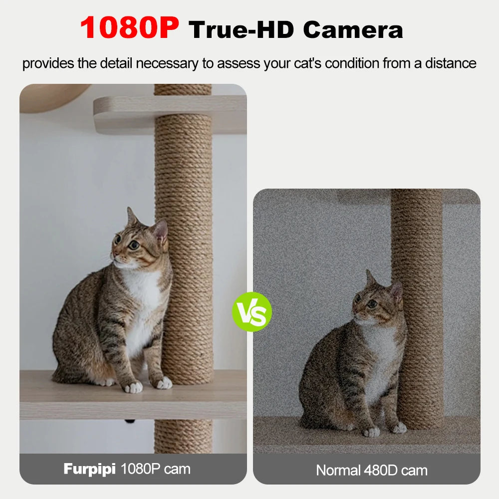 8L Automatic Cat Feeder with 1080p WiFi Camera by HitMyNeed