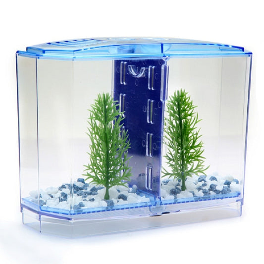 Acrylic Betta Fish Tank with Removable Divider by HitMyNeed