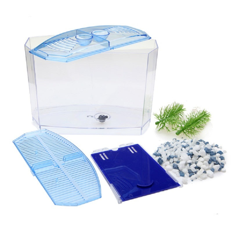 Acrylic Betta Fish Tank with Removable Divider by HitMyNeed