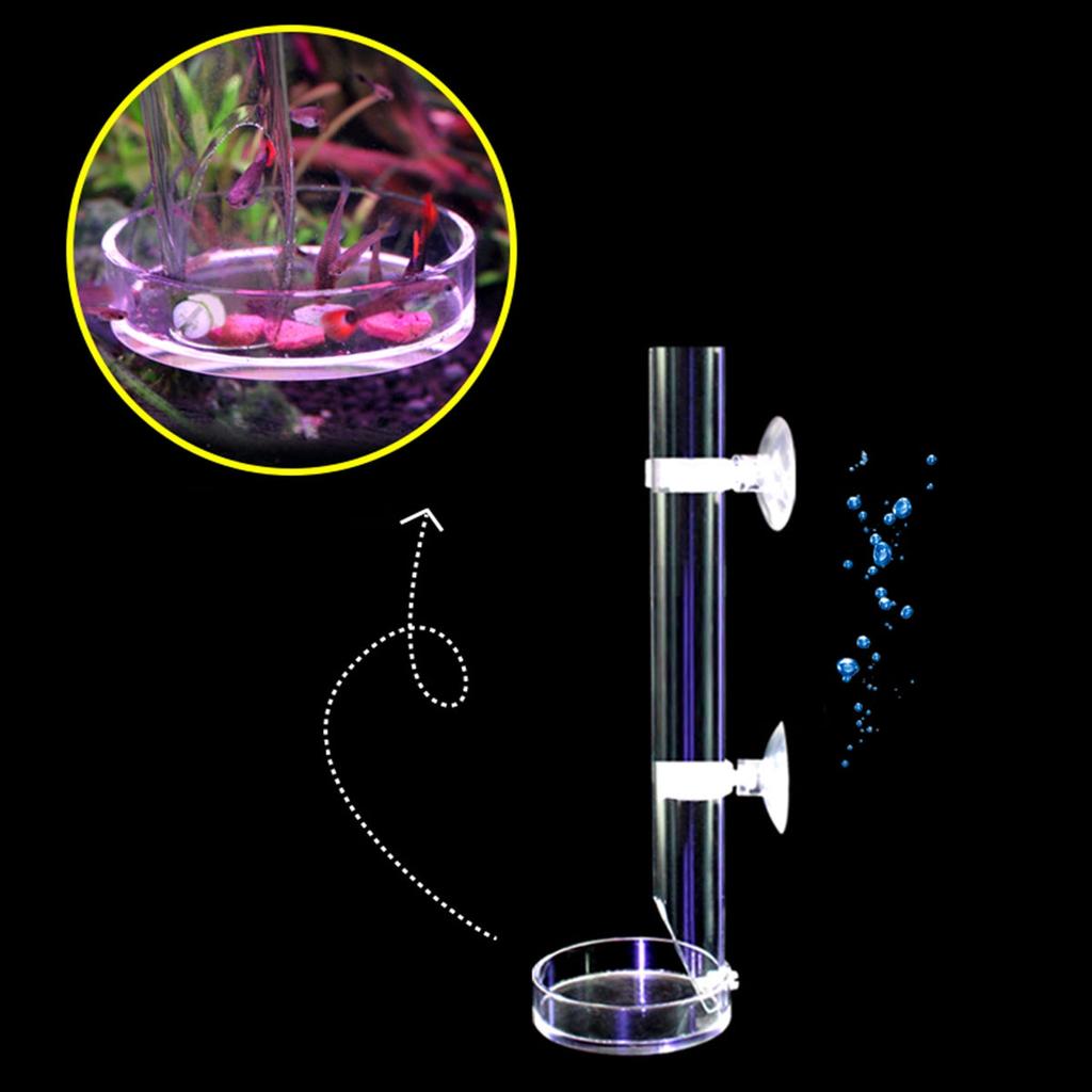 Acrylic Shrimp Feeding Tube with Dish for Aquariums by HitMyNeed