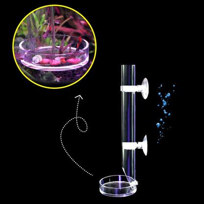Acrylic Shrimp Feeding Tube with Dish for Aquariums by HitMyNeed