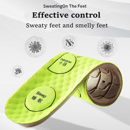 Acupressure Sport Insoles for Running and Daily Wear by HitMyNeed