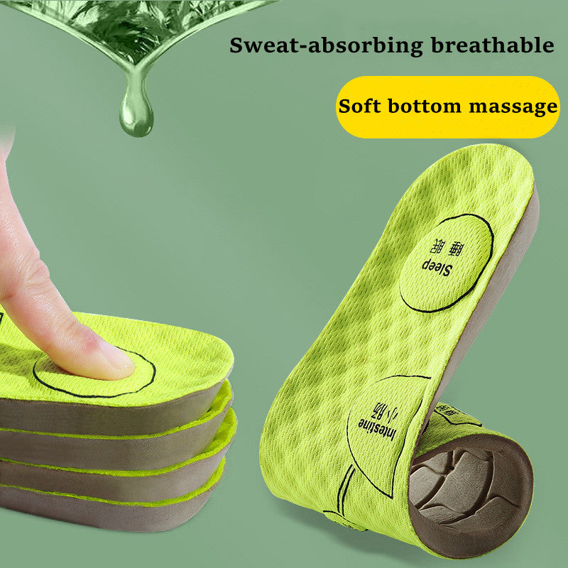 Acupressure Sport Insoles for Running and Daily Wear by HitMyNeed