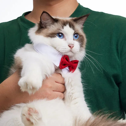 Adjustable Bow Tie Collar for Small Dogs & Cats by HitMyNeed