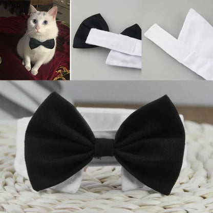 Adjustable Bow Tie Collar for Small Dogs & Cats by HitMyNeed