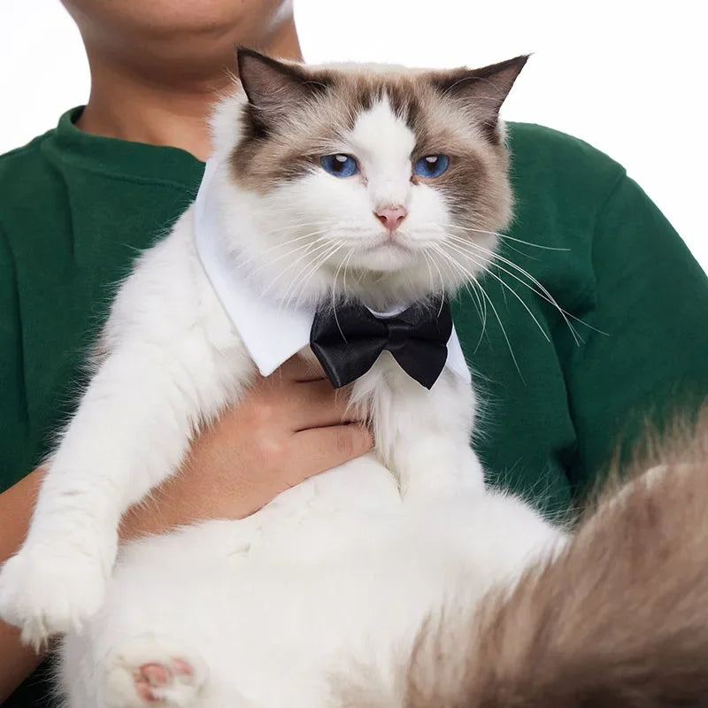 Adjustable Bow Tie Collar for Small Dogs & Cats by HitMyNeed