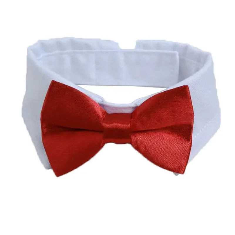 Adjustable Bow Tie Collar for Small Dogs & Cats cravat-10 s by HitMyNeed