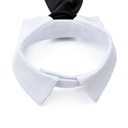 Adjustable Cotton Dog & Cat Necktie Set with Collar by HitMyNeed