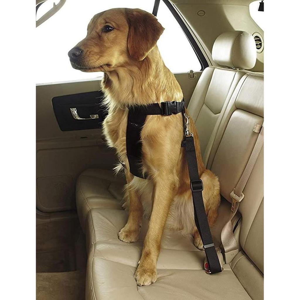 Adjustable Dog Car Seat Belt Safety Leash by HitMyNeed