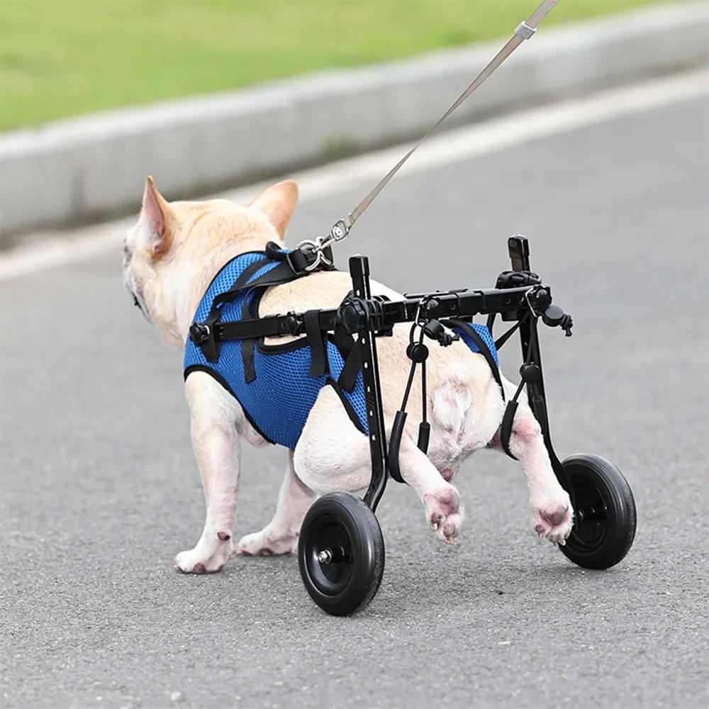 Adjustable Dog & Cat Hind Leg Wheelchair by HitMyNeed