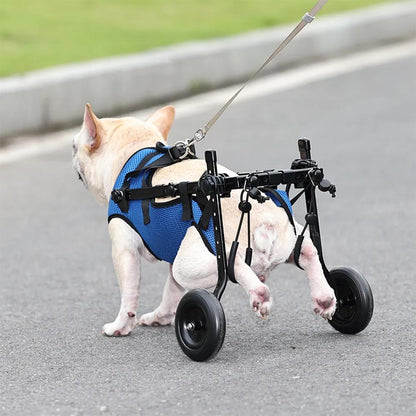 Adjustable Dog & Cat Hind Leg Wheelchair by HitMyNeed