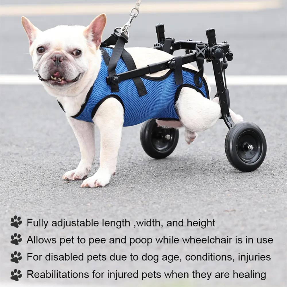 Adjustable Dog & Cat Hind Leg Wheelchair by HitMyNeed