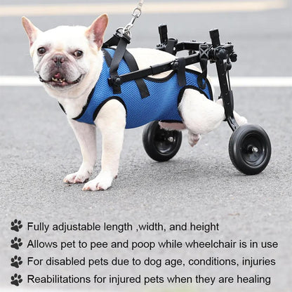 Adjustable Dog & Cat Hind Leg Wheelchair by HitMyNeed