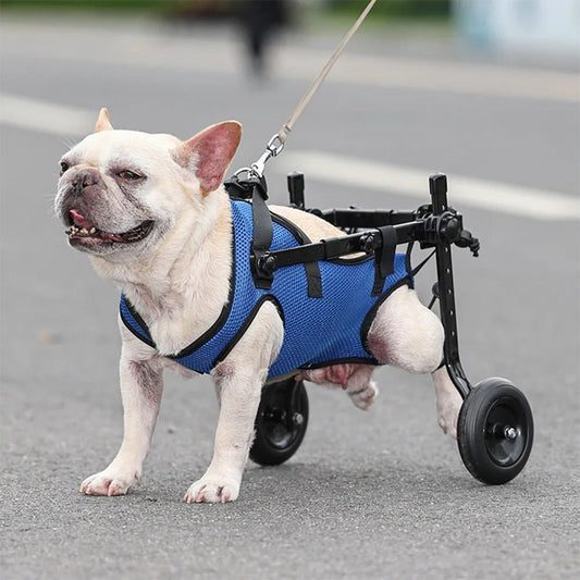 Adjustable Dog & Cat Hind Leg Wheelchair s by HitMyNeed