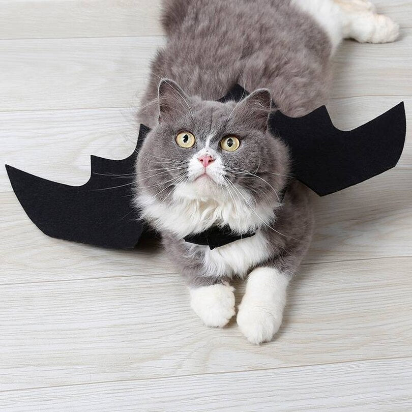 Adjustable Felt Bat Wings Costume for Cats by HitMyNeed