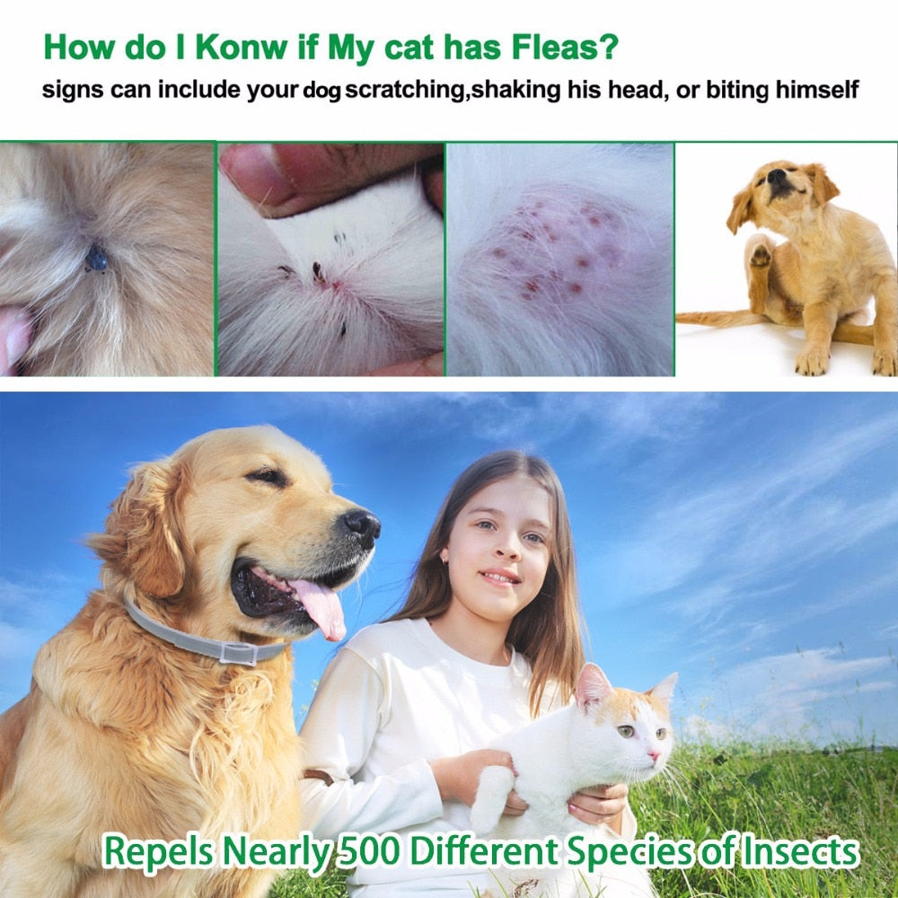 Adjustable Flea and Tick Collar for Dogs by HitMyNeed