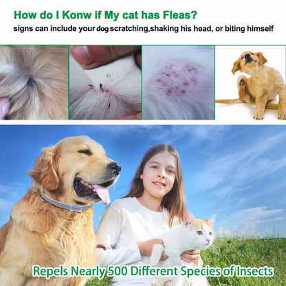Adjustable Flea and Tick Collar for Dogs by HitMyNeed