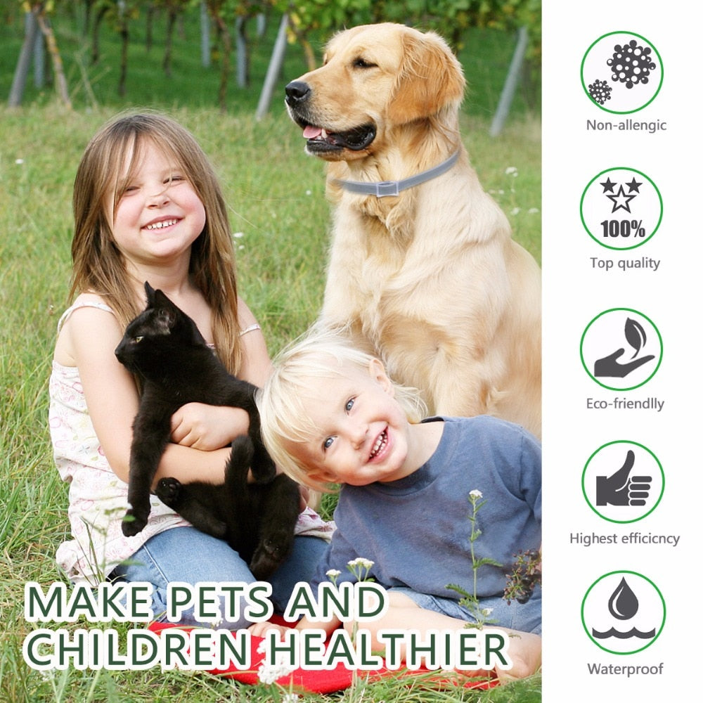 Adjustable Flea and Tick Collar for Dogs by HitMyNeed