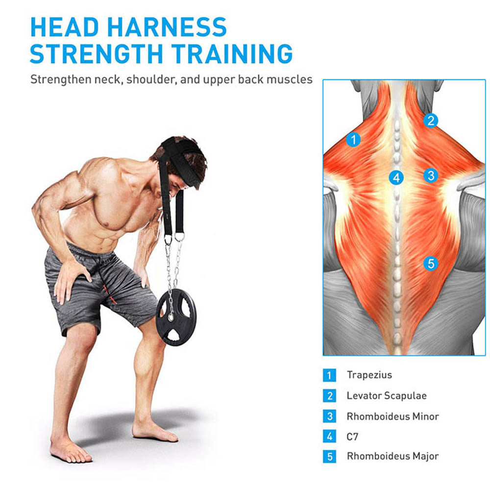 Adjustable Head Harness Neck Training Strap by HitMyNeed