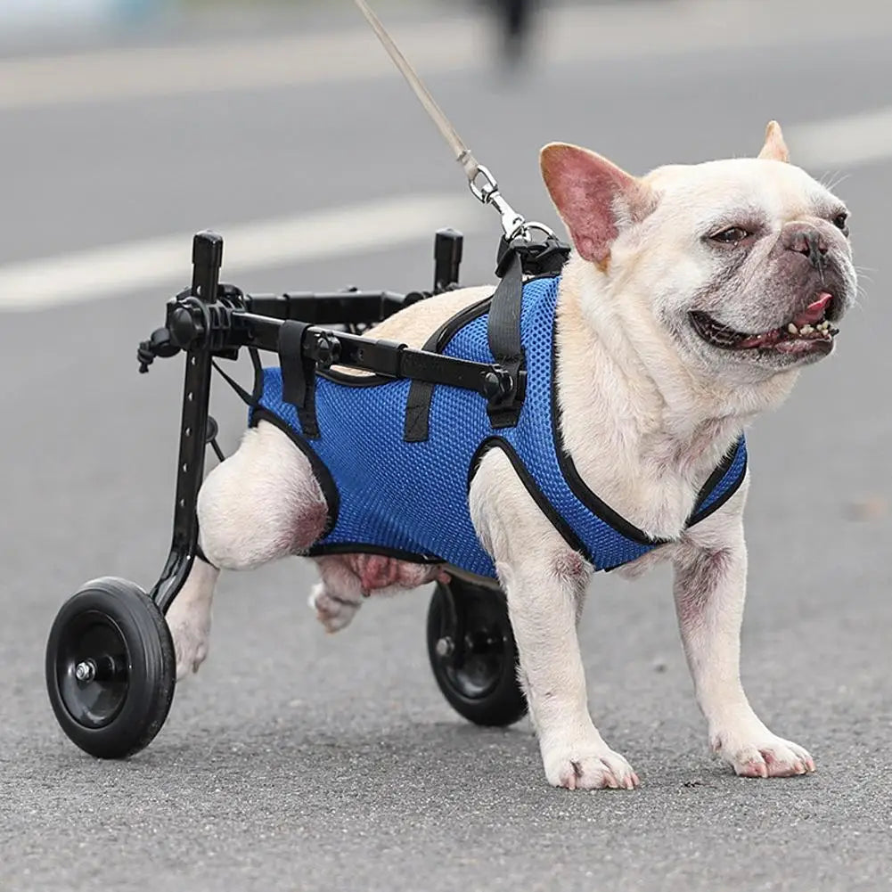 Adjustable Hind Leg Dog Wheelchair for Small Pets by HitMyNeed