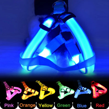 Adjustable LED No-Pull Dog Harness for Night Safety by HitMyNeed