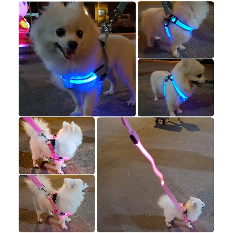Adjustable LED No-Pull Dog Harness for Night Safety by HitMyNeed