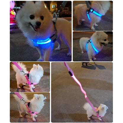 Adjustable LED No-Pull Dog Harness for Night Safety by HitMyNeed