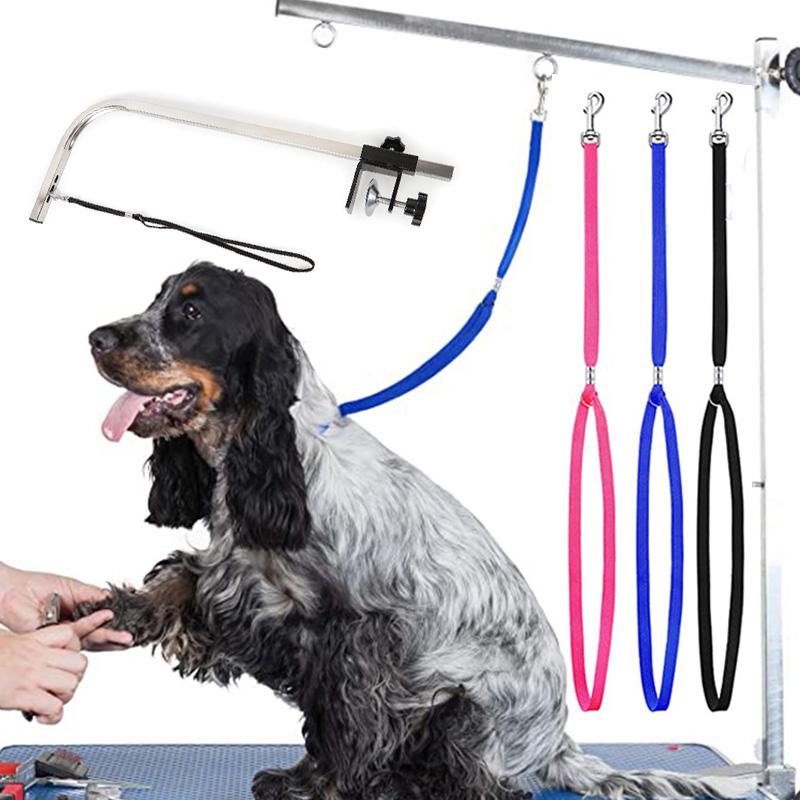 Adjustable Nylon Grooming Leash for Pets by HitMyNeed