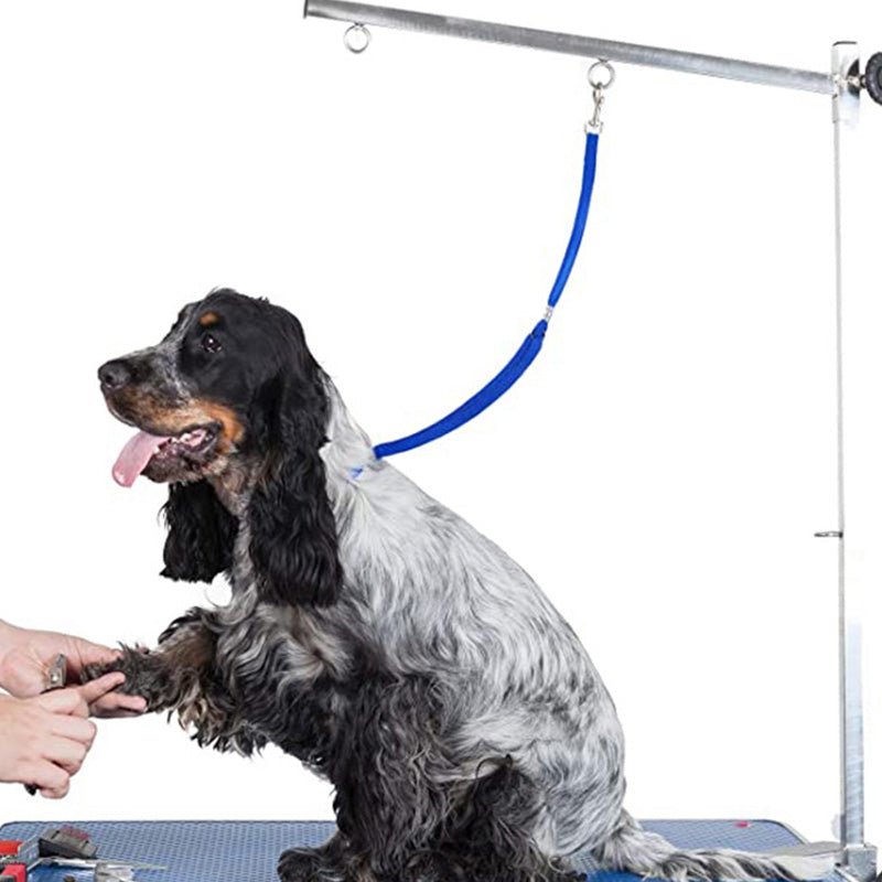 Adjustable Nylon Grooming Leash for Pets by HitMyNeed