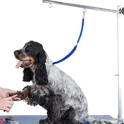 Adjustable Nylon Grooming Leash for Pets by HitMyNeed