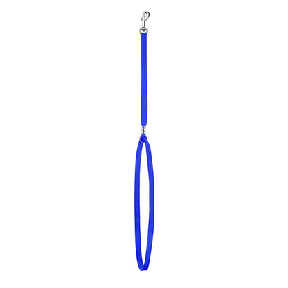Adjustable Nylon Grooming Leash for Pets blue by HitMyNeed