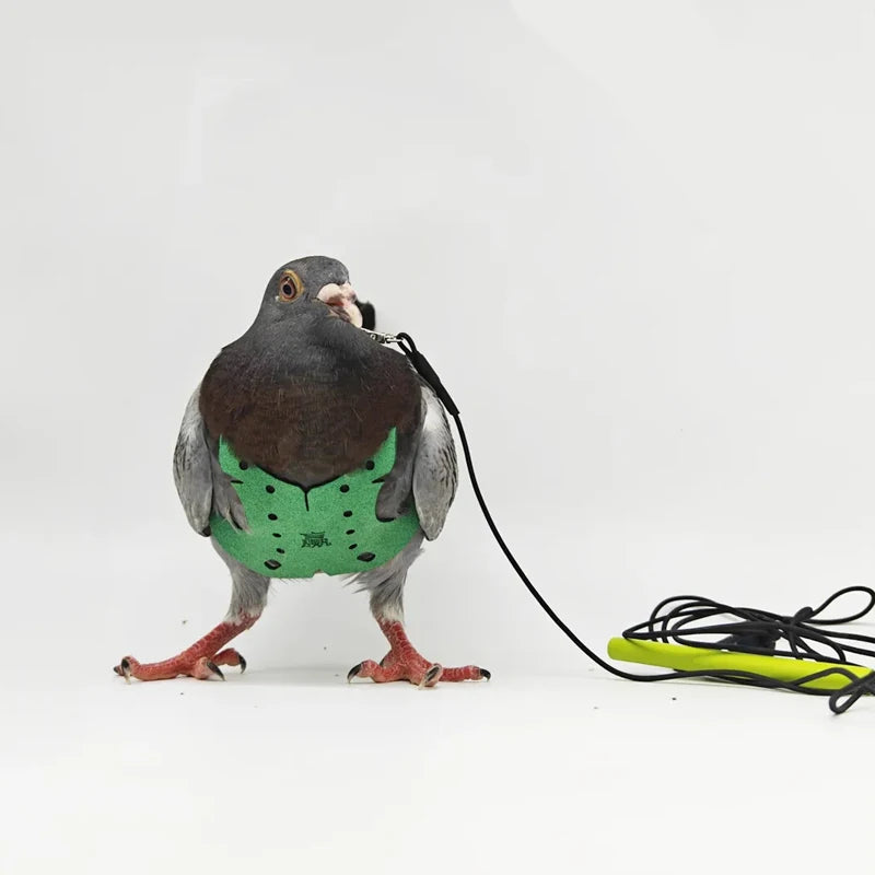 Adjustable Parrot and Pigeon Harness with Leash by HitMyNeed