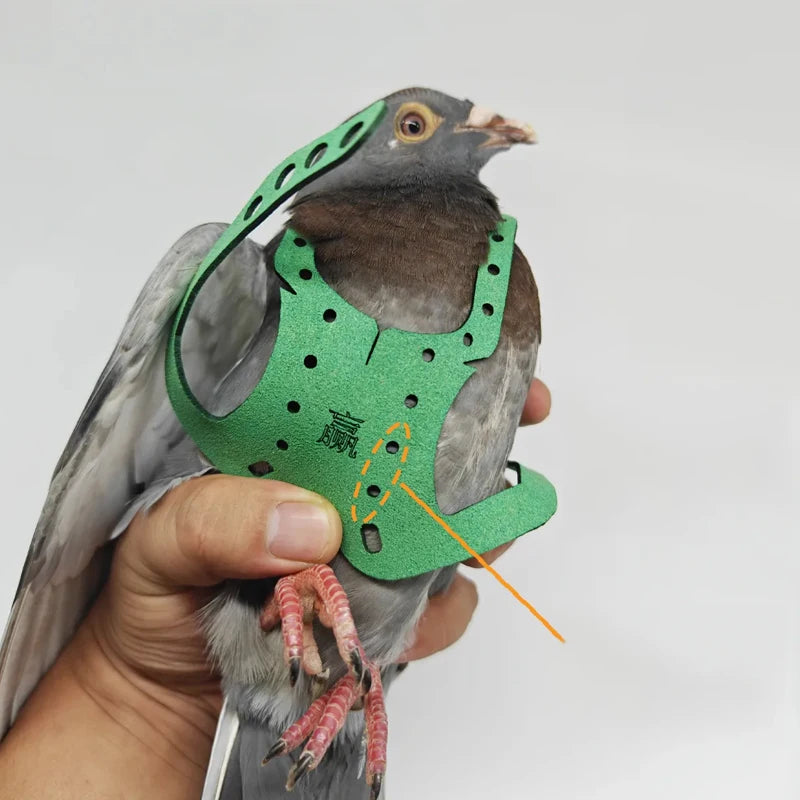 Adjustable Parrot and Pigeon Harness with Leash by HitMyNeed