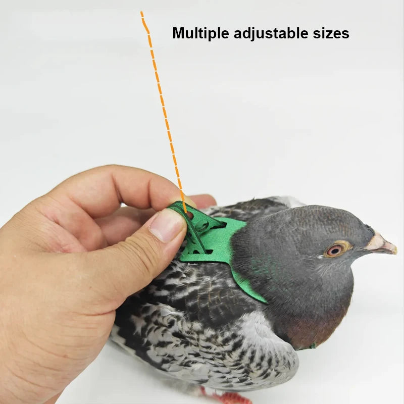 Adjustable Parrot and Pigeon Harness with Leash by HitMyNeed