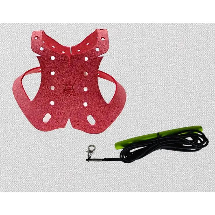 Adjustable Parrot and Pigeon Harness with Leash red straps-and-5m-rope by HitMyNeed