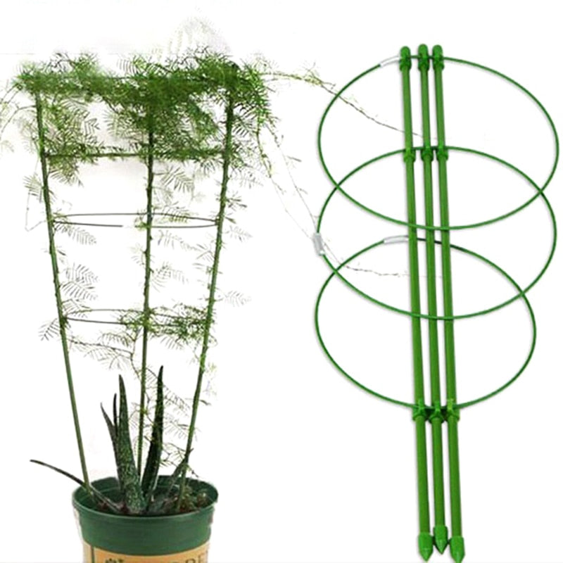 Adjustable Plant Support Frame for Climbing Vines by HitMyNeed