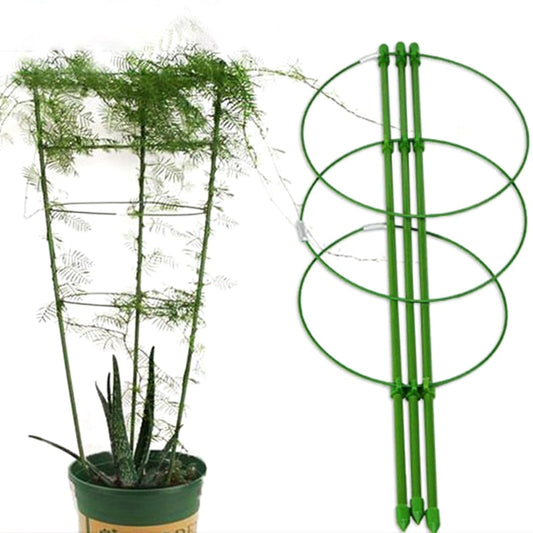 Adjustable Plant Support Frame for Climbing Vines by HitMyNeed