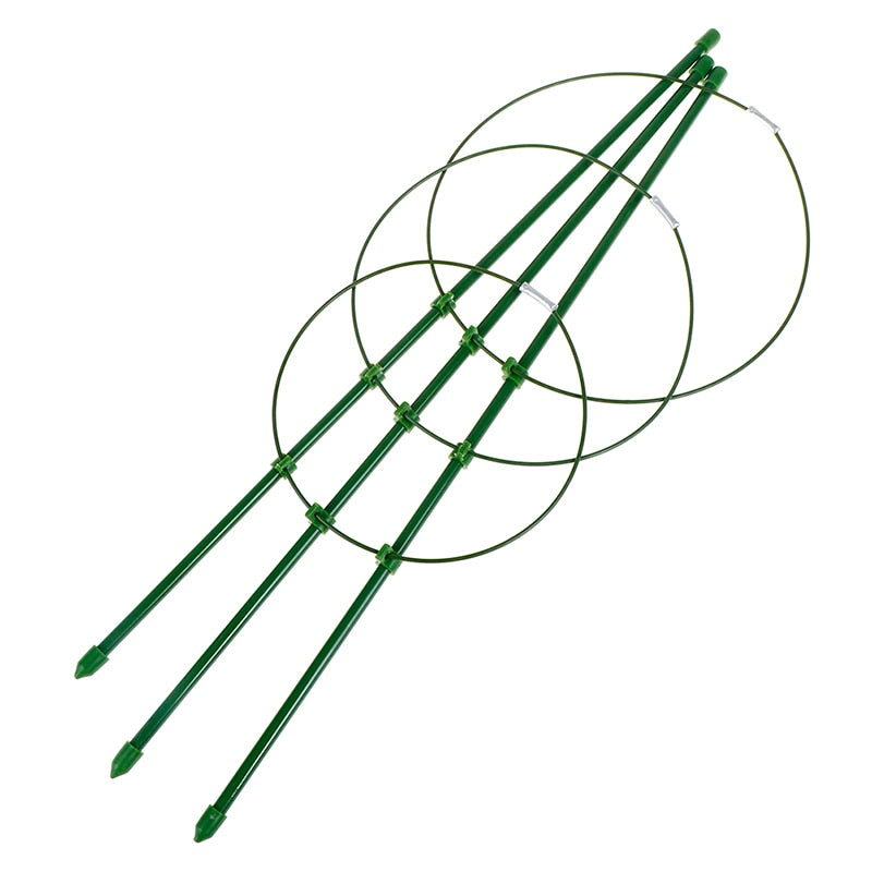 Adjustable Plant Support Frame for Climbing Vines by HitMyNeed