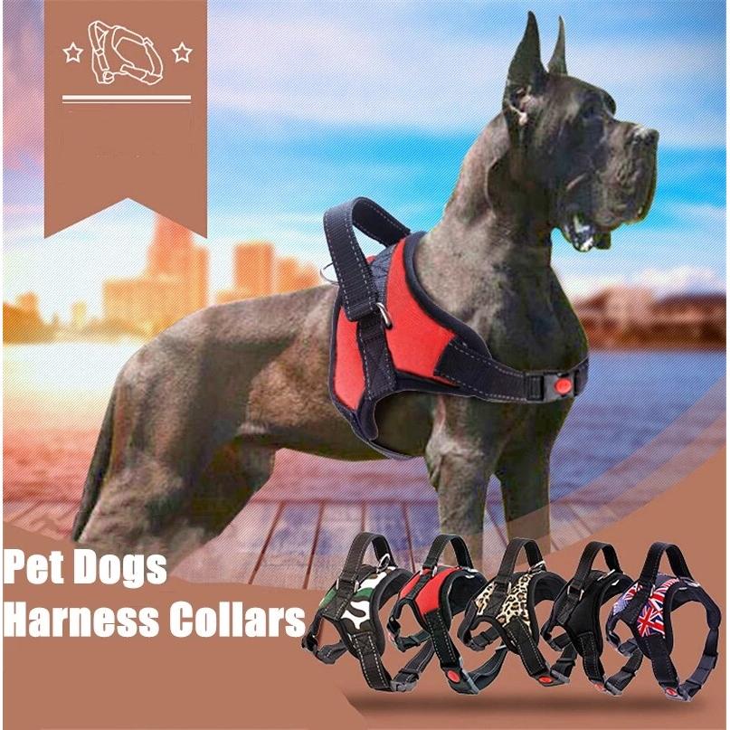 Adjustable Reflective Dog Harness for All Sizes by HitMyNeed