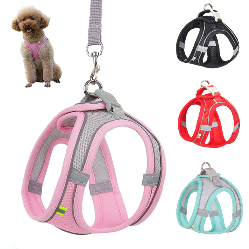 Adjustable Small Dog Harness and Leash Set by HitMyNeed