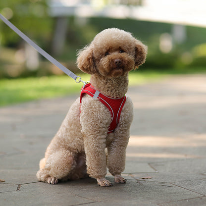Adjustable Small Dog Harness and Leash Set by HitMyNeed