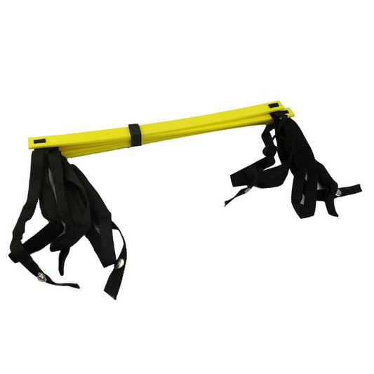 Adjustable Speed Ladder with Carry Bag 2.7m by HitMyNeed