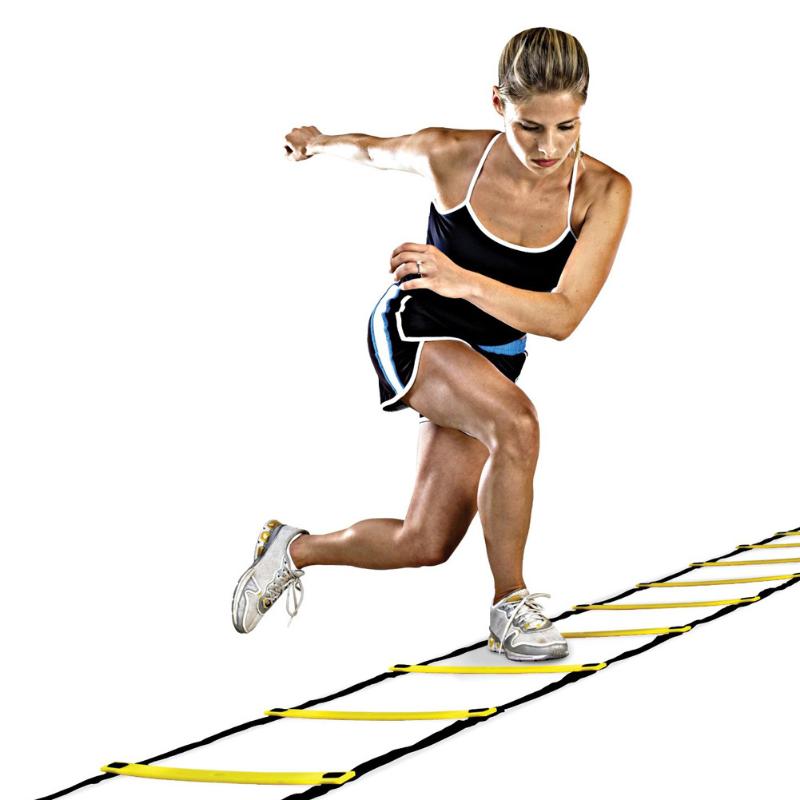 Adjustable Speed Ladder with Carry Bag 2.7m by HitMyNeed