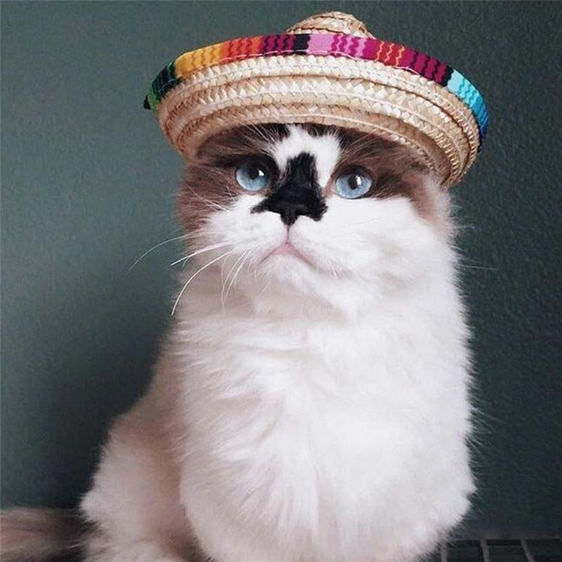 Adjustable Straw Sombrero Hat for Cats and Small Dogs by HitMyNeed