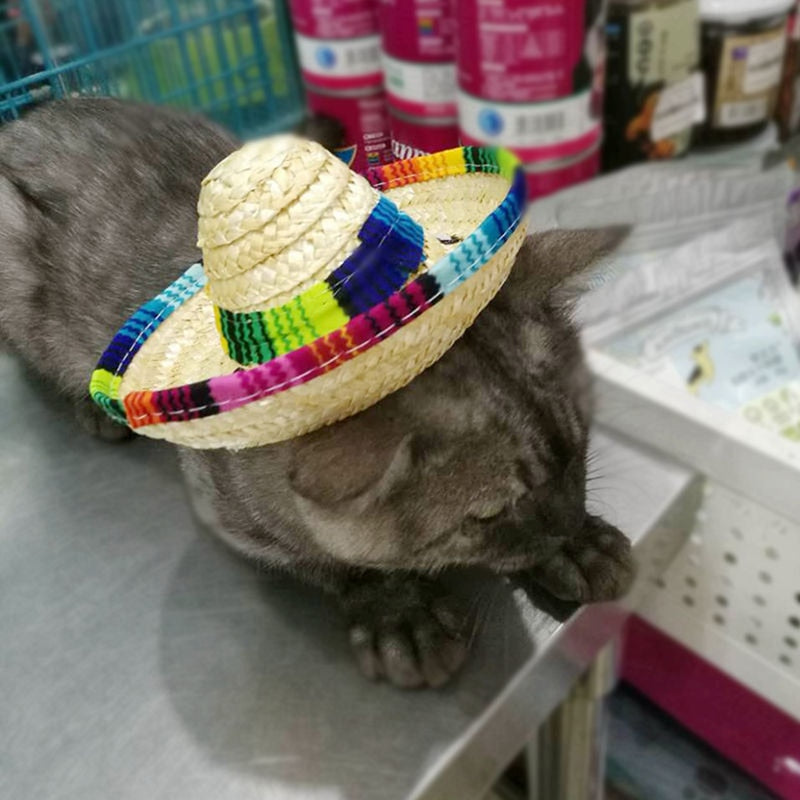 Adjustable Straw Sombrero Hat for Cats and Small Dogs by HitMyNeed