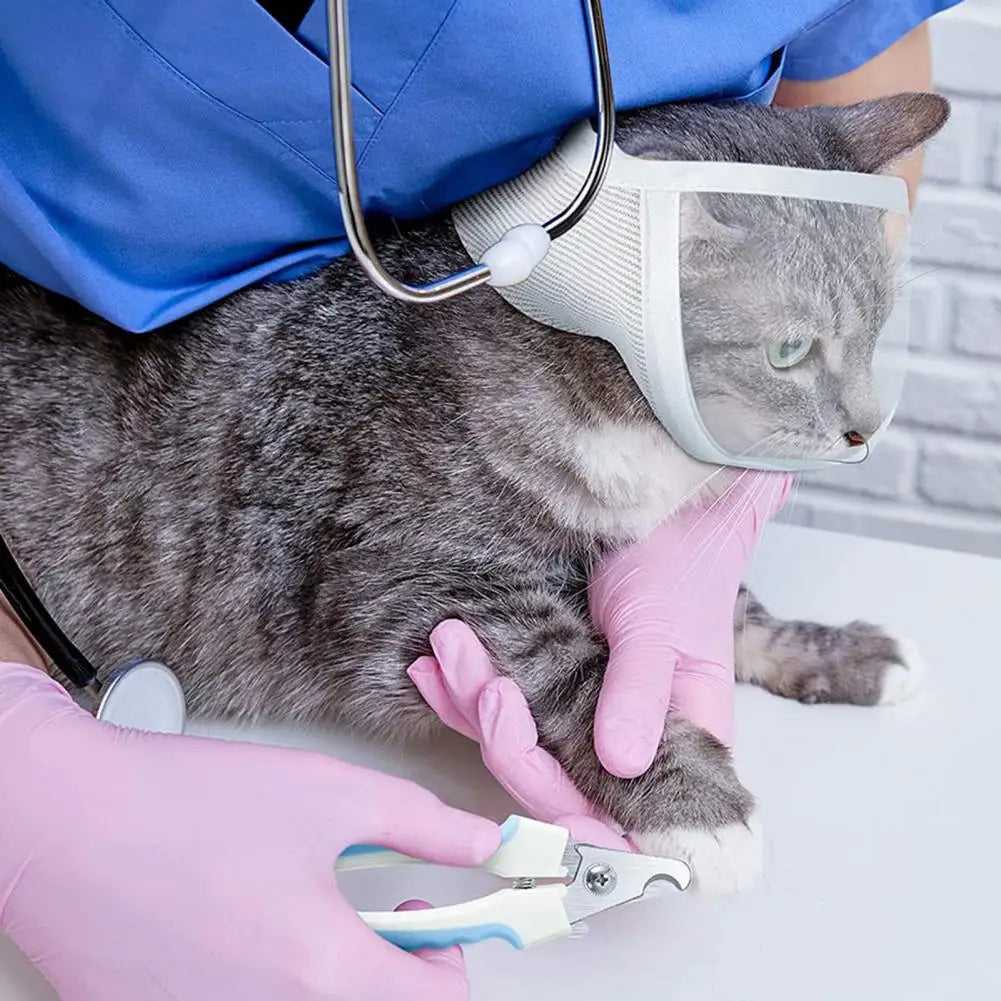 Adjustable Transparent Cat Muzzle for Safe Grooming by HitMyNeed